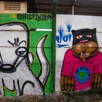 Artista: Spray Cabuloso e Júlio Costa. Descrição: Muro externo da cooperativa apresenta dois murais graffiti. O primeiro deles à esquerda apresenta um gato preto com olhar distante. O gato está vestindo uma camiseta rosa vibrante estampada com a logomarca do movimento nacional dos catadores (representada por um círculo azul, com um mapa do Brasil verde ao centro e as iniciais MNCR). O segundo mural, à esquerda, apresenta um cachorro branco sentado. O cachorro tem focinho e rabo compridos.
