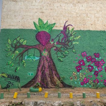 Artista: Neide Vieira. Descrição: parede externa da cooperativa apresenta mural graffiti de uma árvore com braços e cabeça humana. O tronco da árvore é marrom, e os braços são representados por galhos e folhas. As veias da árvore humana são representadas em cor roxo.