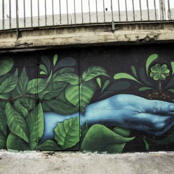 Artista: Clara Leff. Descrição: Muro externo de uma cooperativa de recicláveis se encontra pintado de preto be escuro. No centro, se encontra um mural graffiti de uma mão verde azulada, que segura, em sua palma, um broto de uma planta, simbolizando a vida. Folhas verdes e densas rodeiam a mão.