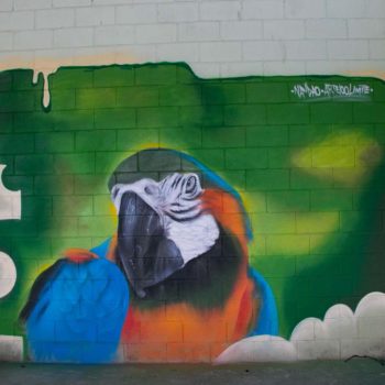 Artista: Nandão. Descrição: Parede interna bege apresenta grafitti com fundo verde e o desenho de uma arara azul.