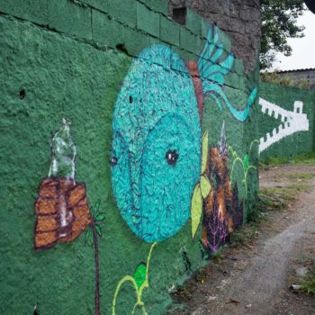 Artista: Mogle. Foto: Rebeca Figueiredo. Descrição: muro externo verde com grafitti de uma grande cabeça verde água, ela segura uma garrafa pet com a mão.