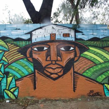 Artista: Pixote. Foto: Rebeca Figueiredo. Descrição: muro externo verde com grafitti de rosto masculino negro, em cima da sua cabeça está desenhada uma pequena casa branca. envolta dele, muitas folhas verdes e uma paisagem de campo.