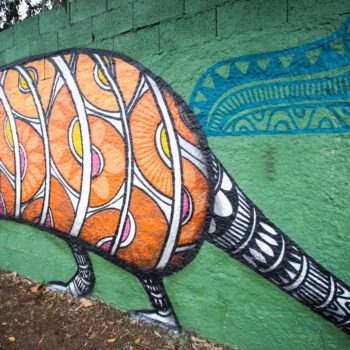 Artista: Cadumen. Foto: Rebeca Figueiredo. Descrição: muro externo verde com grafitti de um tatu trabalhando em detalhes laranjas, preto e branco.