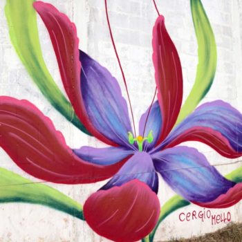 Artista: Cergio Mello. Descrição: Muro externo com fundo branco, apresenta grafitti de uma flor com as pétalas externas vermelhas, e internas roxas e parte interna verde e laranja. À sua volta, folhas verdes.
