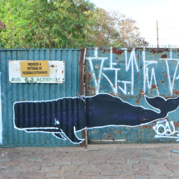Artista: Annibal Lima. Descrição: Sobre um portão pintado de azul claro, uma baleia jubarte azul escura contornada de branco. Ela está de perfil esquerdo tem a cabeça alongada e reta na frente. O olho é pequeno e próximo das nadadeiras. A cauda está voltada para cima. Acima da baleia, à direita, grafites brancos e abaixo, uma assinatura sublinhada por uma seta.