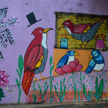 Artista: Buru. Descrição: Grafite em uma parede lilás. Quatro pássaros, dois vermelhos e dois azuis. O maior, à esquerda, é vermelho com o bico amarelo, o papo branco e a barriga cinza. Está pousado num fio e tem acima da cabeça uma cartola preta. Ele olha para um pássaro semelhante à sua frente que está em um retângulo amarelo de tijolos aparentes e com o corpo inclinado para frente e o rabo apontando para cima. Abaixo deste pássaro estão os dois pássaros azuis pousados no cano de PVC, um aninhado numa flor vermelha e outro com a cabeça voltada para a direita. Na margem inferior, folhagens verdes alongadas e a assinatura em preto: Buru.