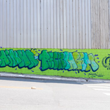 Artista: FAT. Descrição: O nome “RAINHA DA RECICLAGEM”, está grafitado em um muro que beira uma calçada estreita de uma rua asfaltada. As palavras estão escritas em tons de verde contornadas com azul escuro, em letras garrafais e arredondadas, espremidas uma nas outras exceto o conectivo “DA” que está em letras pequenas azul-claras. A palavra “RAINHA” está em verde com uma coroa amarela em cima do último “A”, e “RECICLAGEM” tem “RECIC” em verde e “LAGEM” em um degradê de azul claro com amarelo. Pingos de água em azul saltam ao redor das letras. À direita, a marca em azul: dentro de uma coroa de louro um círculo com o nome: “COOPERATIVA DE TRABALHO RAINHA DA RECICLAGEM 2015”. No topo do círculo, uma coroa com pedras preciosas e abaixo dele a sigla “CTRR”. No canto inferior do muro a assinatura “COOPERATIVA DE TRABALHO” também em azul. Acima do muro, paredão formado por telhas de alumínio.