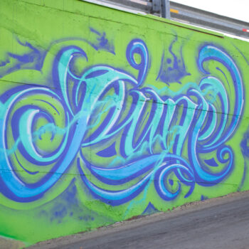 Artista: Alien | Descrição: Em um muro, uma palavra sobre fundo verde claro. A escrita rebuscada, azul-claro contornadas de azul escuro, as letras são repletas de linhas curvas sobrepostas com acabamento em espirais a torna ilegível. À direita, em azul marinho: VIVA+ARTE.