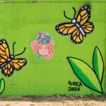 Artista: Aurea Arts | Descrição Sobre um muro verde claro, duas borboletas ladeiam um rosto feminino. Uma no canto inferior esquerdo e a outra, no canto superior direito. Ambas são amarelas, contornadas de preto com pontinhos brancos. As antenas são pretas, a cabeça e o corpo, brancos. Abaixo de cada borboleta, duas folhas. Ao centro, entre as borboletas, o rosto de uma mulher de cabelo frisado na cor laranja. Sorridente, ela tem pálpebras e boca rosa claro. Do topo da cabeça saem prédios coloridos entremeados por folhas e flores. Ao redor do rosto, três flores rosas com miolo amarelo. No canto inferior direito, ao lado de folhas verdes, a assinatura, em preto: Aurea 2022.