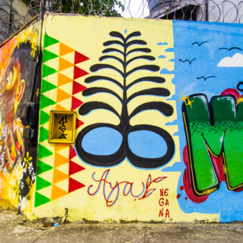 Artista: Negana - NGA. Descrição: Em um muro externo com concertina, composição de graffiti. No centro, um ramo de folhas pretas, paralelas e horizontais, brota da intersecção de dois círculos pretos. A parte interna deles é azul. Abaixo, em letras cursivas vermelhas, “Aya”, com três pequenas folhas ao lado. À esquerda, na quina do muro, o graffiti de um rosto de uma mulher negra. À direita, parte de um grafismo em verde.