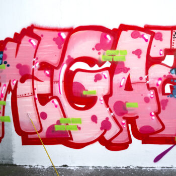 Artista: Megaz | Foto: Rogério Vieira e Léu Britto. Descrição - Sobre muro branco, grafite de letras gordas, estilo bomb, cor de rosa, da palavra “MEGAZ”. As letras estão contornadas em vermelho. Em algumas delas, se sobrepõem pequenos traços verdes neon e manchas de pingo rosa. Na perna do “M”, uma hashtag amarela, e, logo acima, duas setas apontando para o “M”.