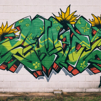 Artista: Chavão | Foto: Bruno Jungmann | Sobre muro branco, letras verdes inclinadas e parcialmente sobrepostas. Elas são estampadas com flores verdes claro, com aspecto 3D em vermelho e quatro girassóis no alto são vistos pela metade. No canto inferior direito, a assinatura do artista.